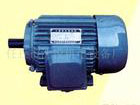 起重電機(jī)