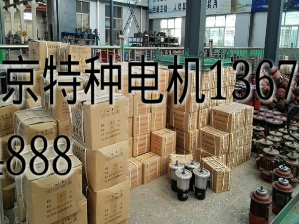 特種電機(jī)